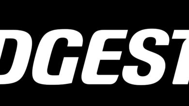 BridgestoneLogo_TypeC_N_RGB