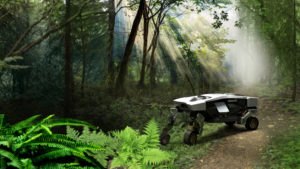 2 TIGER Concept in Forest