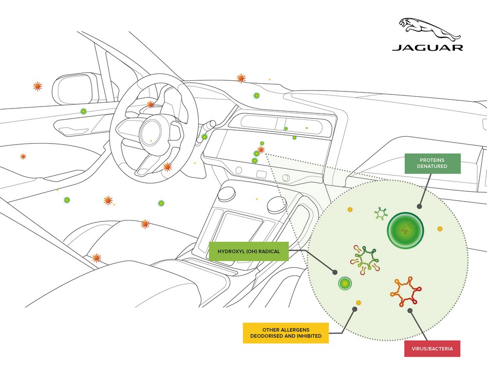 1 Jaguar - Body Copy