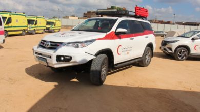 Fortuner3.peg