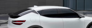 5 DLO_detail