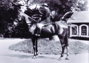 ettore_horse_52years_old