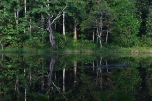 4 lake-view-near-hutan