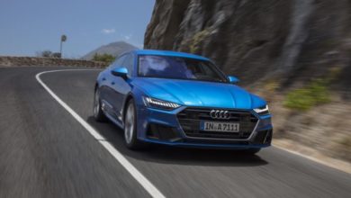 Dynamic photo, Colour: Ara blue