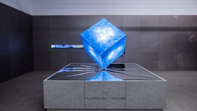 2 _Art Work for 'Technology for Life'