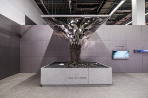 3 Art Work for 'Bold for Nature'