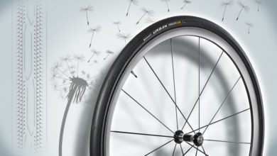 1 - Dandelion rubber