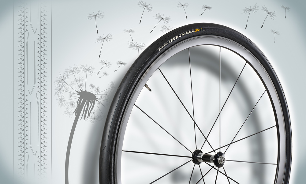 1 - Dandelion rubber