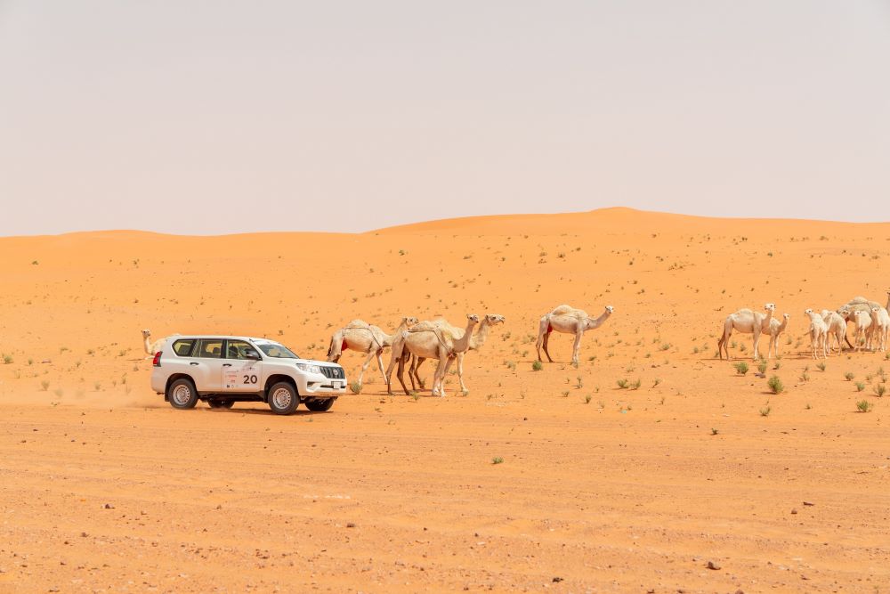 desert