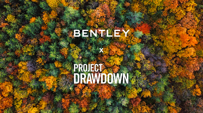 Bentley Environmental Foundation, Beyond100, Project Drawdown, The Biomimicry Institute, Sustainable Surf