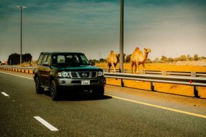 2 2024 Nissan Patrol Super Safari – Al Ostoura Edition (2)