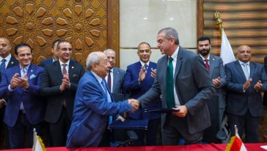 قمة مصر الدولية