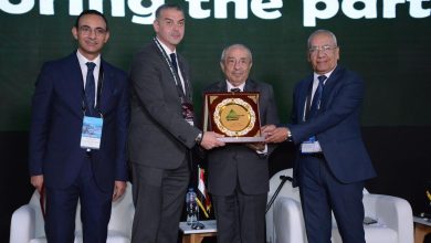قمة مصر الدولية