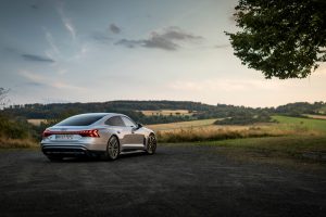Static photo,
Colour: Florett silver metallic