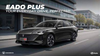 1 Eado Plus_V2
