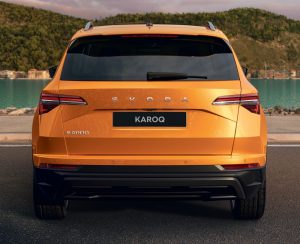 6 Skoda KAROQ 2025 (8)