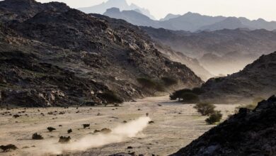 Edgar Canet on his KTM of the Red Bull KTM Factory Racing Team during the Stage 1 of the Dakar 2026, on January 4, 2026 around Yanbu, Saudi Arabia // Florent Gooden / DPPI / Red Bull Content Pool // SI202601040165 // Usage for editorial use only //